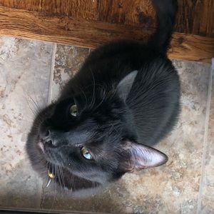 Meet your Posher, Angela